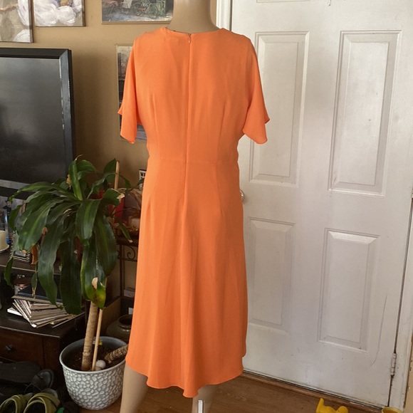 NWOT Maggy London dress - Picture 5 of 7